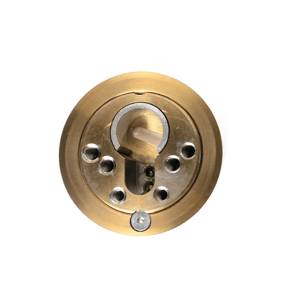 Escudo Basset Macizo Roscado - Imagen 2